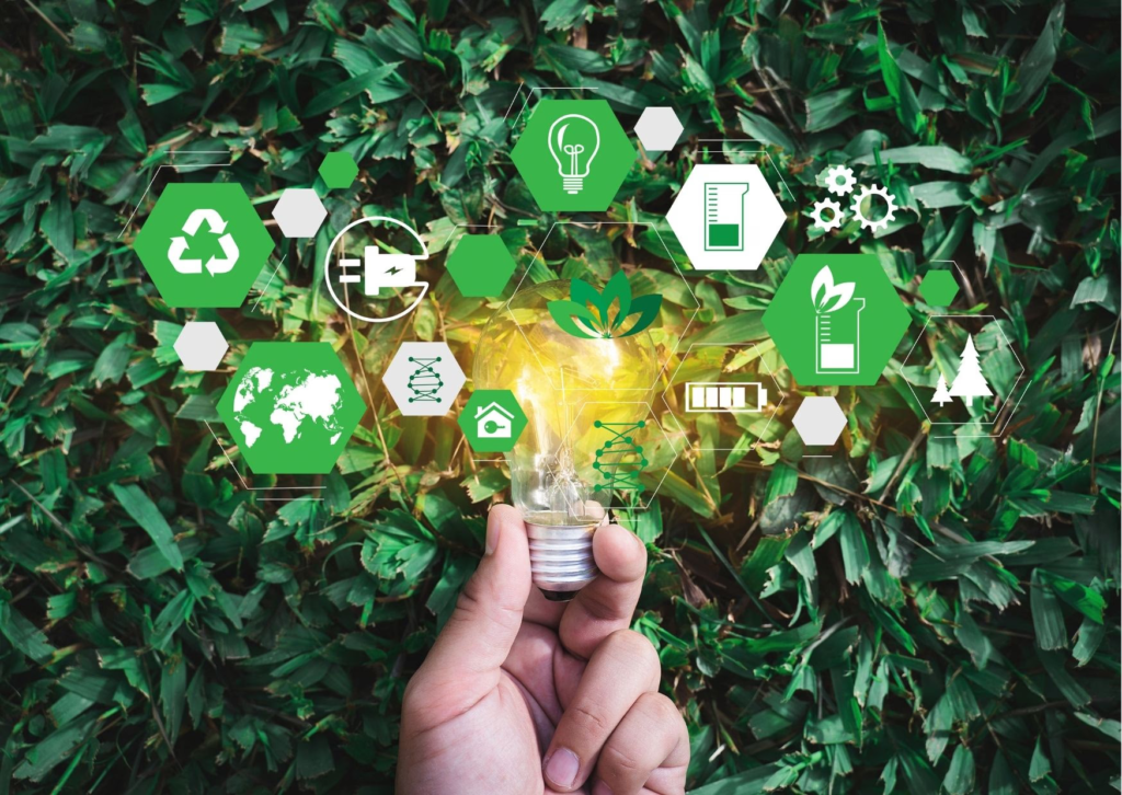 Ecovadis Consultancy in Chennai