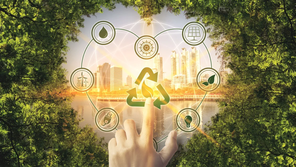 Ecovadis Consultant in Chennai
