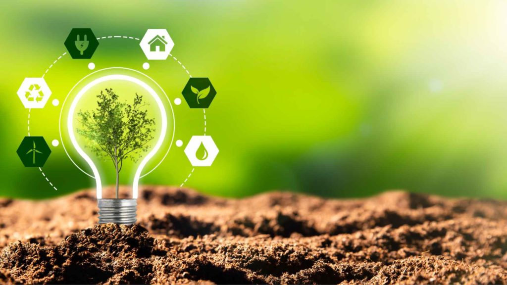 ecovadis in india